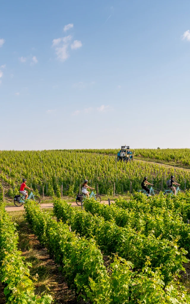 Loire à Vélo de Montlouis à Amboise