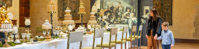 Noël au pays des châteaux. Château d'Azay-le-Rideau, en Touraine.