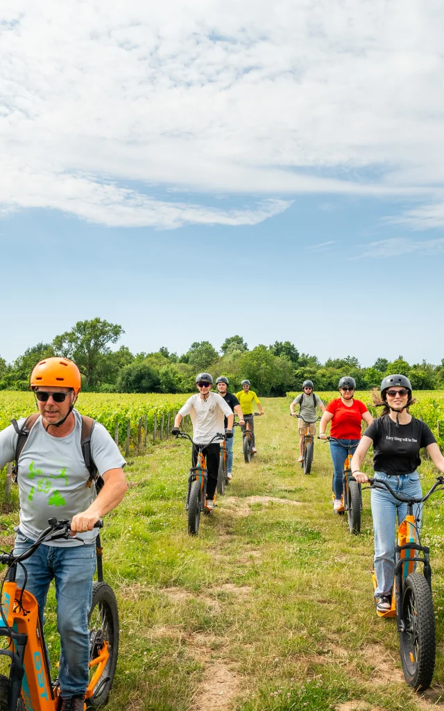 Trottinettes de Trottxway dans les vignes en Touraine