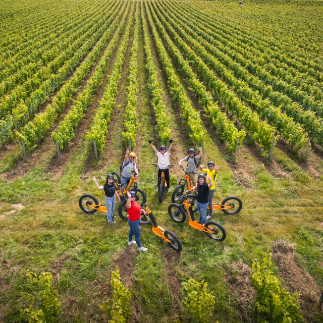 séminaires incentive teambuildings trottinettes dans les vignes à Rochecorbon avec Trottxway