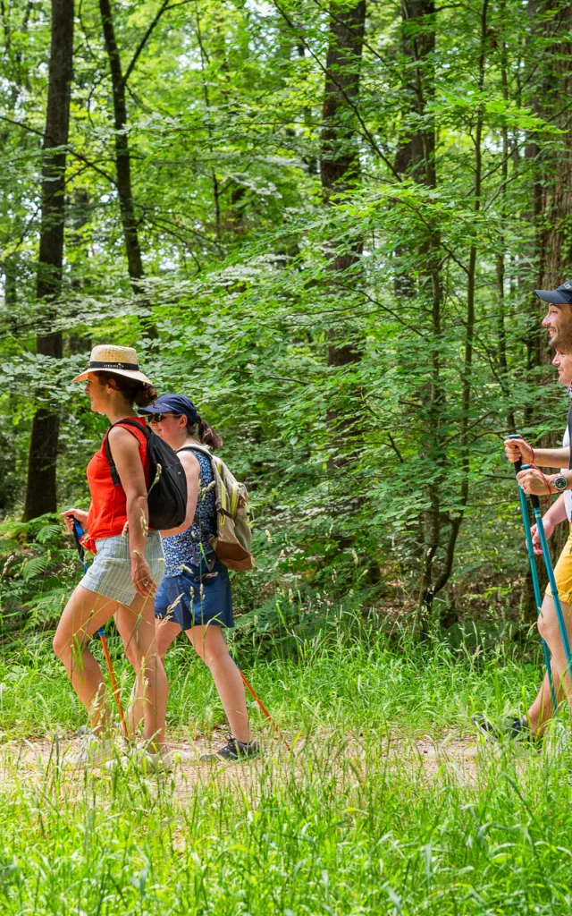 Randonnée dans la forêt domaniale de Chinon.