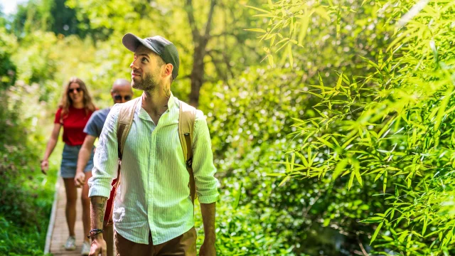 Randonnée en forêt en Touraine
