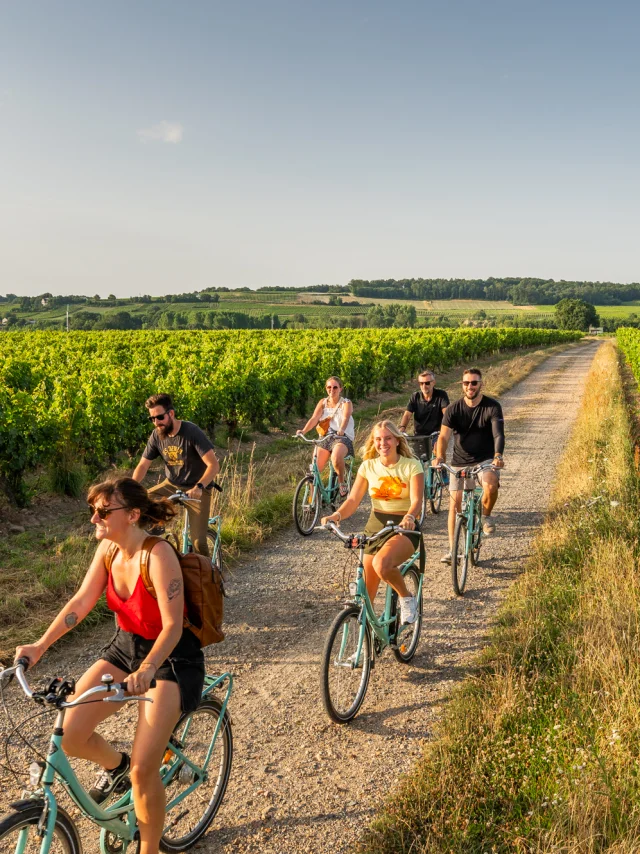 Vélos dans les vignes - Clan à Chinon