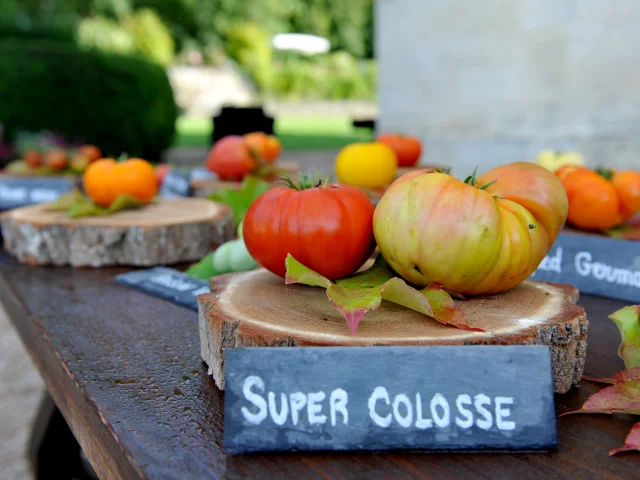 tomates du château de la Bourdaisière