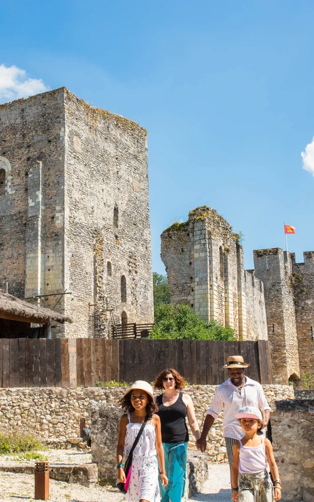 Fortress of Montbazon