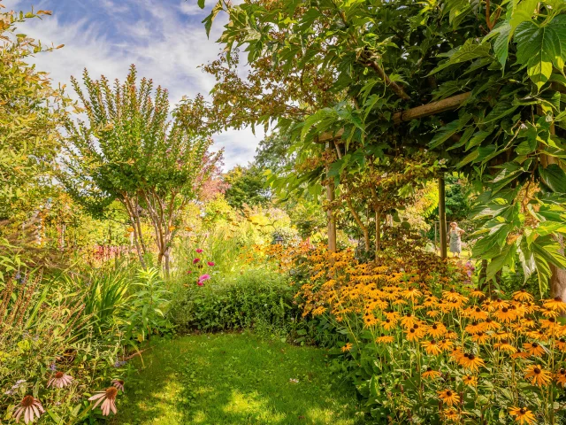 Jardin de Mireille Touraine