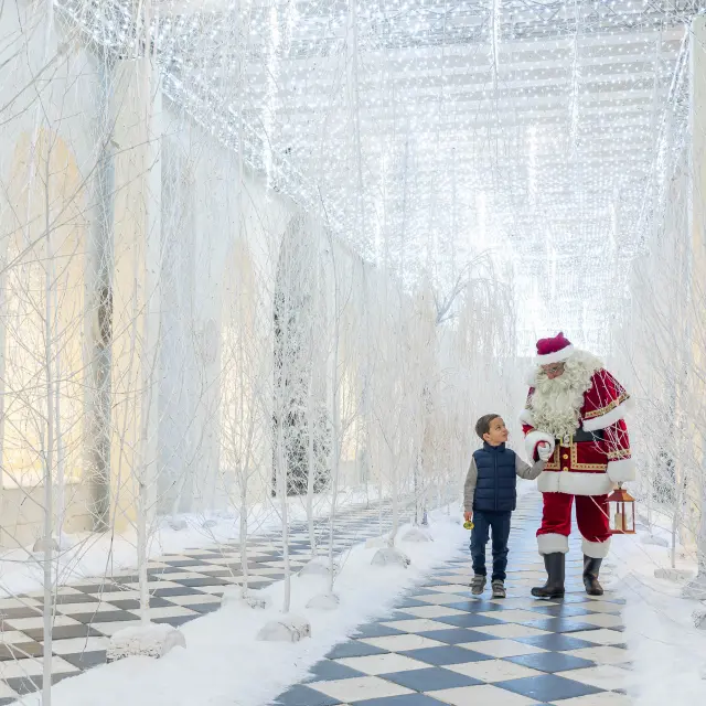 Noël au pays des châteaux. Château de Chenonceau. 2025